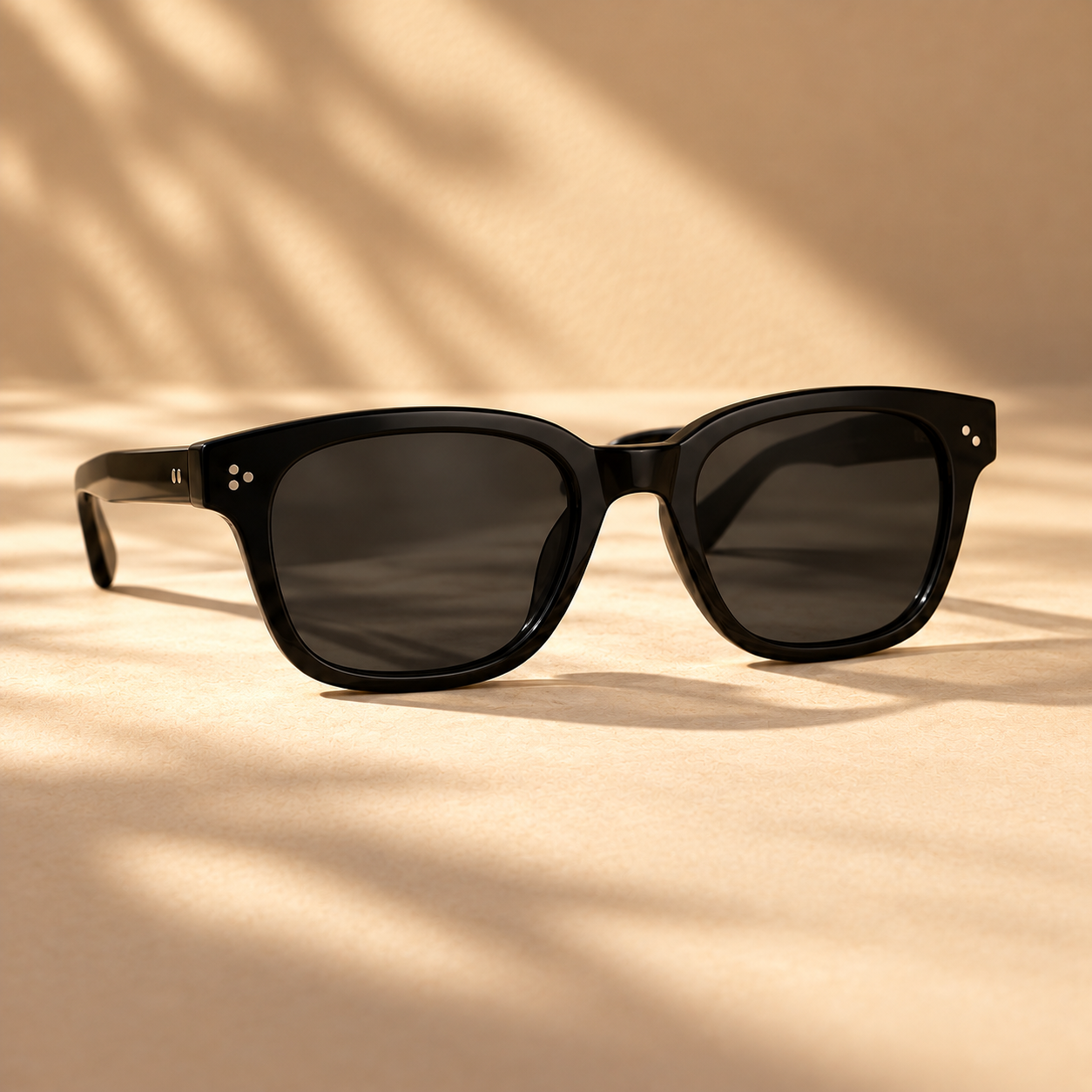 Frame Sunglasses in Black