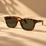 Frame Sunglasses in Tortoise